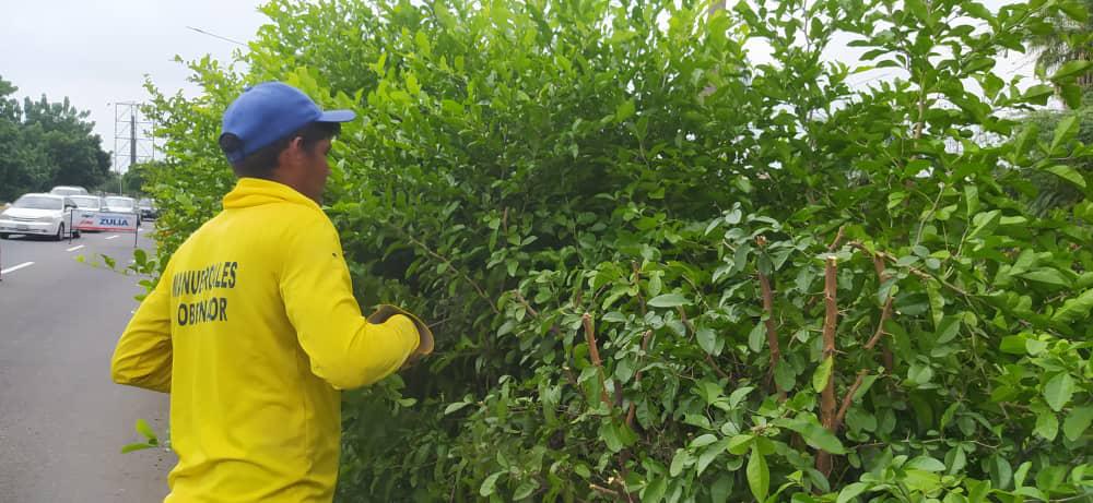 Gobernación del Zulia inició operativo de saneamiento y mantenimiento en la Circunvalación 2 de Maracaibo 2 WhatsApp Image 2024 10 17 at 12.50.42 PM