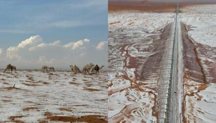 Nevada