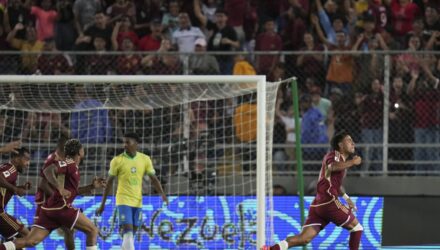 Vinotinto