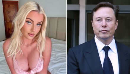 Musk Modelo
