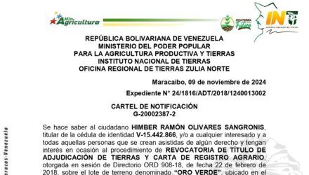 1j4CWDDW ORO VERDE
