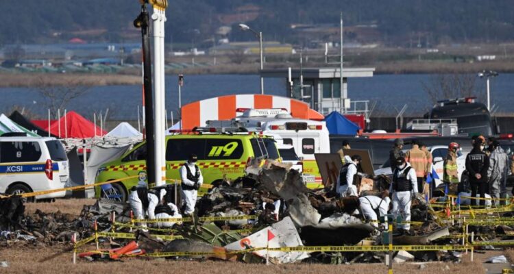 Corea del Sur lanzó una inspección de sus Boeing 737-800 tras la peor catástrofe aérea de su historia 1 Accidente de avión en Corea