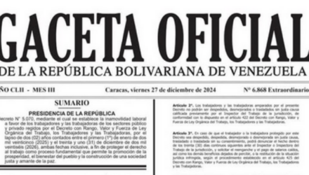 Captura de pantalla 2024 12 29 a las 12.13.14