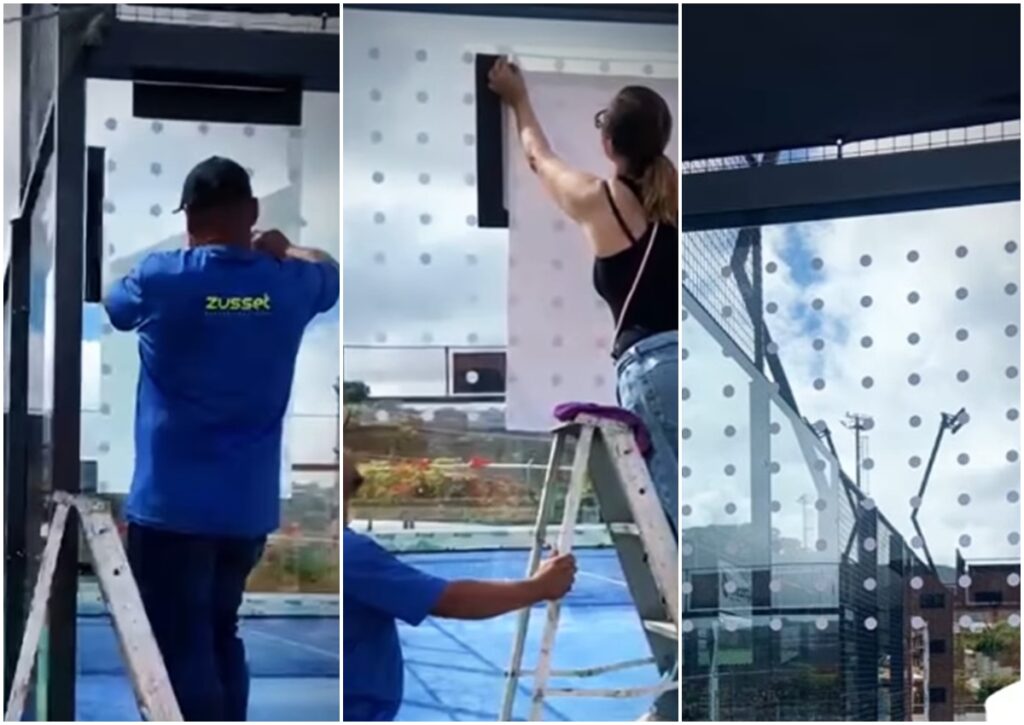 Club de pádel inició reformas en canchas tras la muerte de guacamayas 2 cancha padel 4