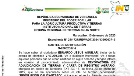 LTzREbso REVOLUCION CALICANTAZO