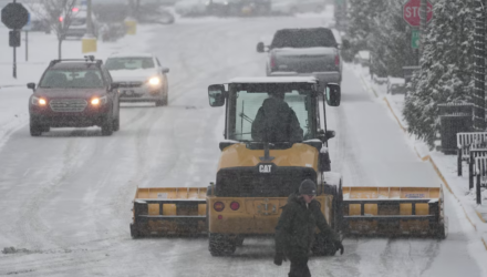 Nieve Tormenta
