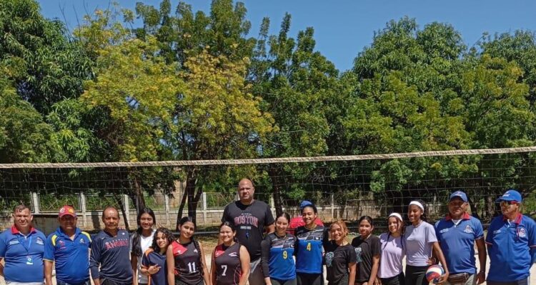 vóleibol