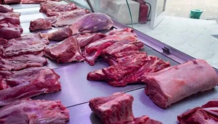 CARNE