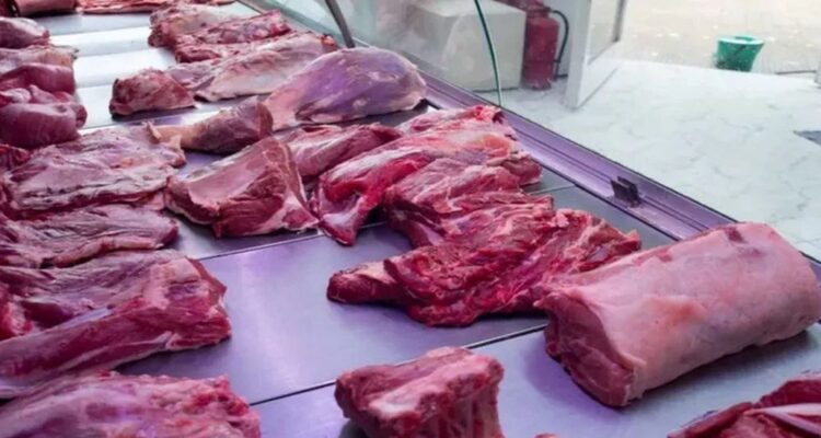 CARNE