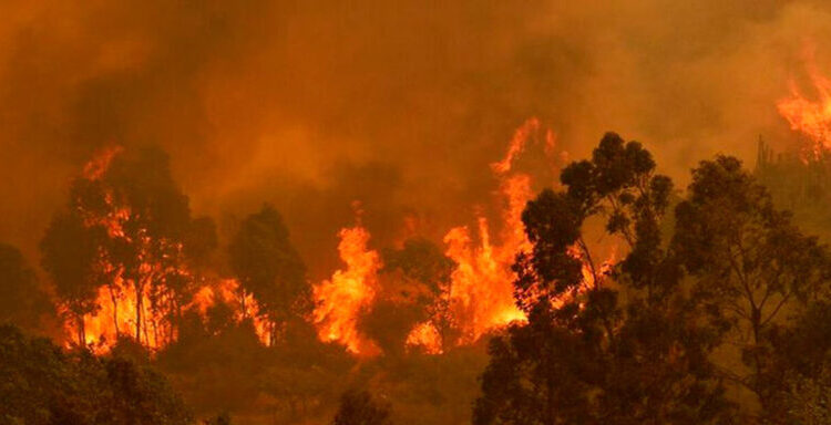 Incendio en Chile