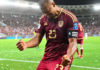 Vinotinto