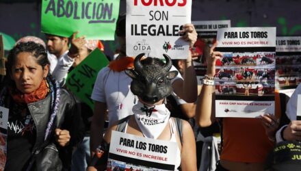 Corridas de toros