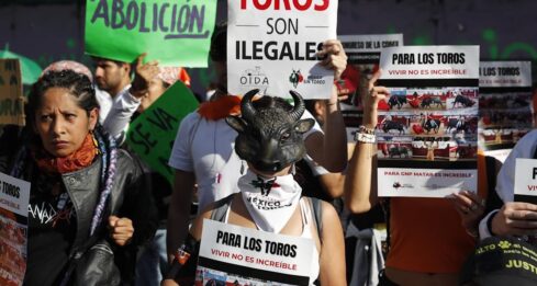 Corridas de toros
