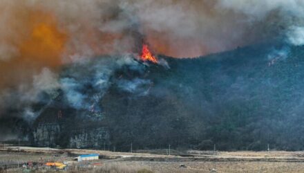 Incendios en Corea