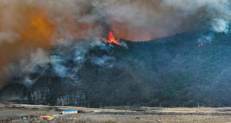 Incendios en Corea