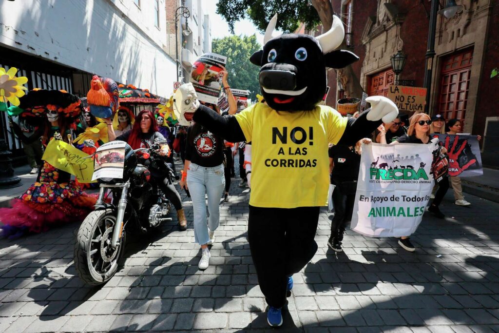 Prohivicion de las corridas de toros en Mexico