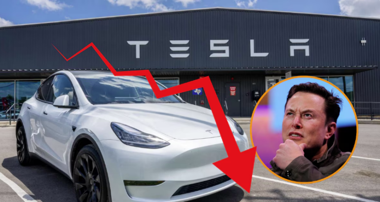 Musk
