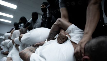integrantes del tren de aragua
