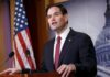 Rubio
