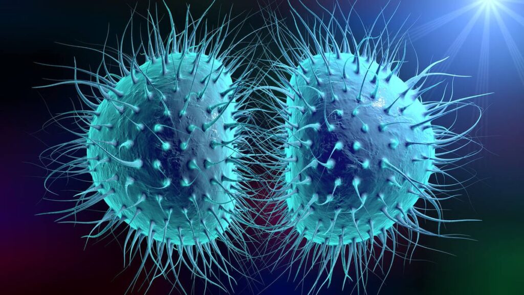 Gonorrea2