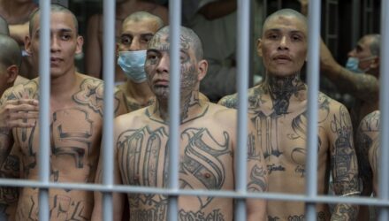 Mara salvatrucha
