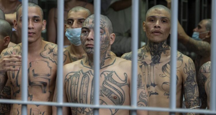 Mara salvatrucha
