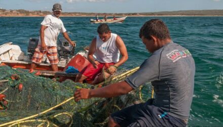 Pesca