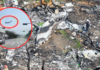 Avion se estrella en Corea