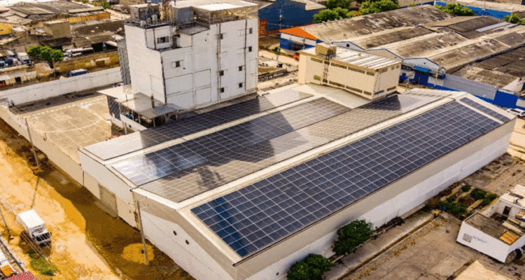 Empresas polar 1024x466 1