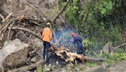 Inundaciones generan crisis en cinco municipios del estado Merida