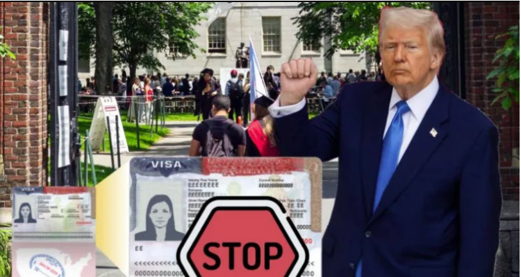 Trump Visa