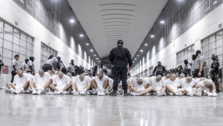Deportados