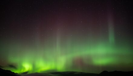 Marte auroras