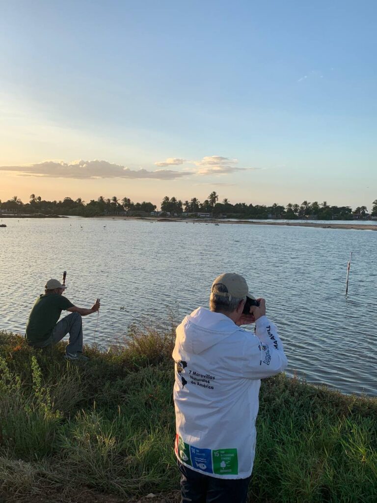 ebird 10 mayo 2