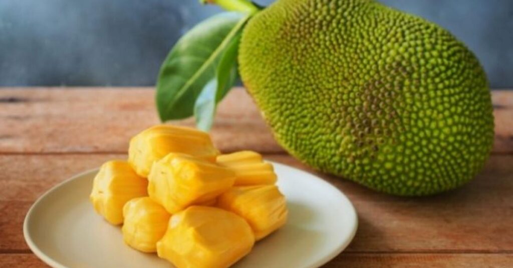 jackfruit jaca guia metabolica sant joan deu