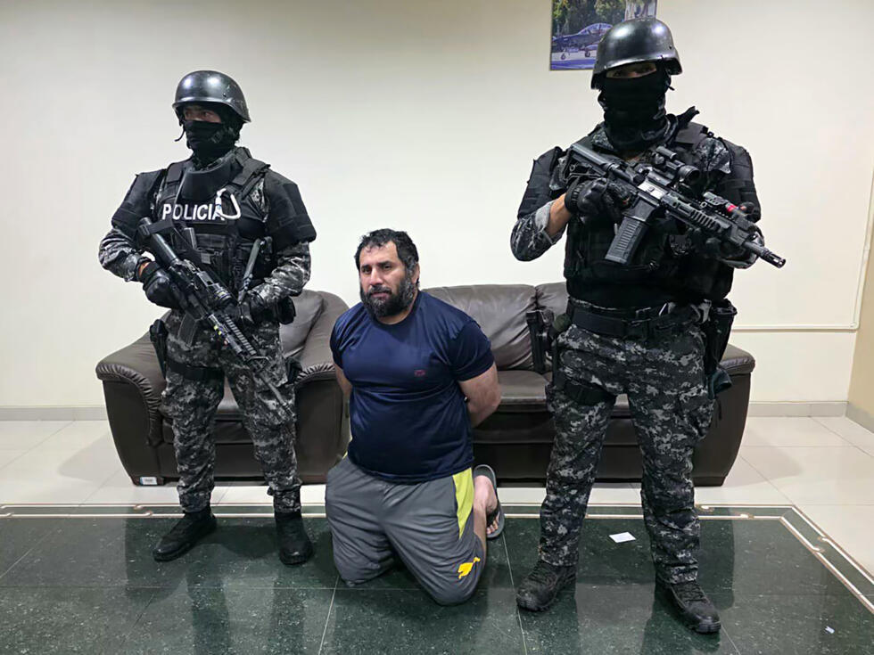 Fito criminal