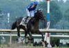 Junior Alvarado Belmont Stakes