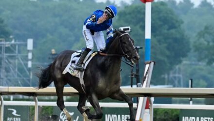 Junior Alvarado Belmont Stakes