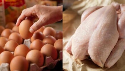 Pollo Huevo