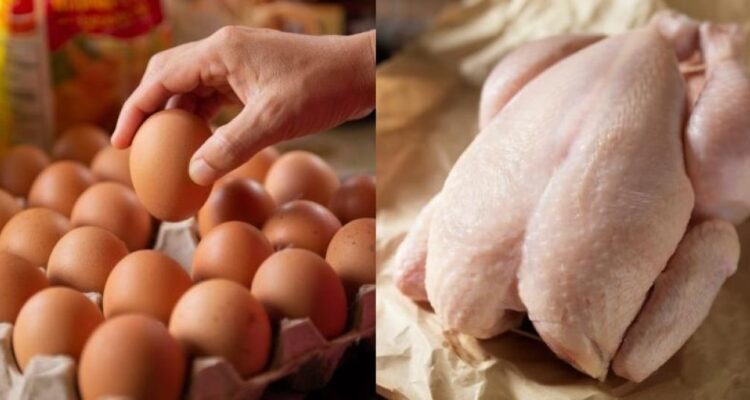 Pollo Huevo