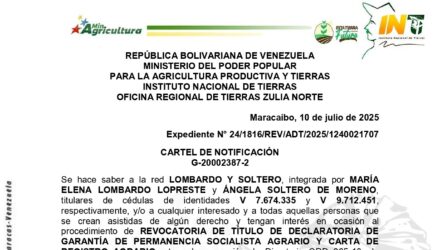 6j21xjiV GRANJA N 11