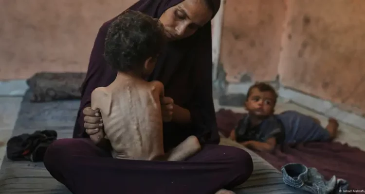 ONG israelíes acusan a Israel de cometer un genocidio en Gaza 1 Israel