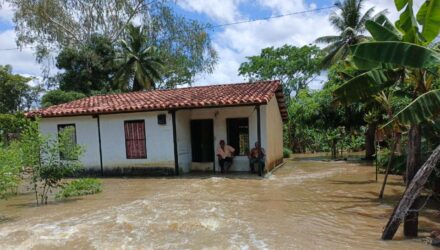 Barinas