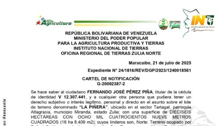 Bdcwv3He LA PINERA