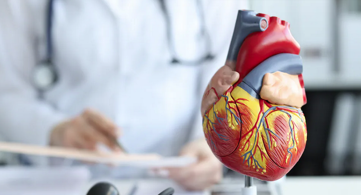cardiovasculares