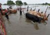 Inundaciones