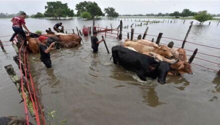 Inundaciones