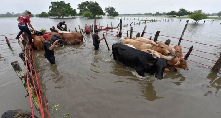 Inundaciones