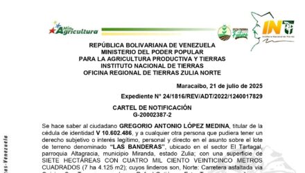 LpDVppap LAS BANDERAS
