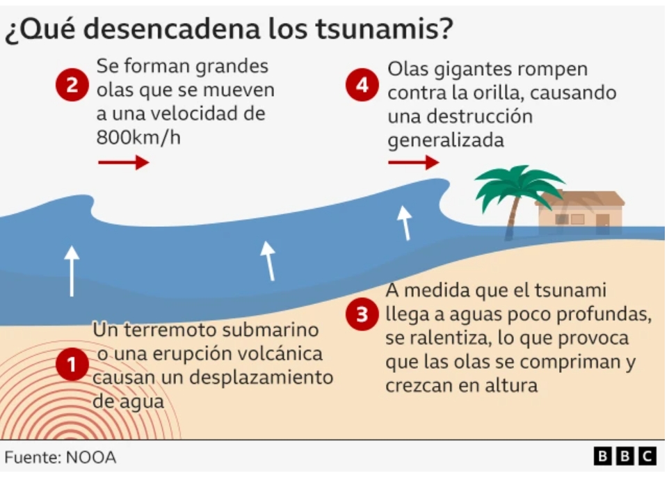Empiezan a levantar alertas por tsunami producido por un terremoto en el Pacífico 2 Terremoto en Rusia